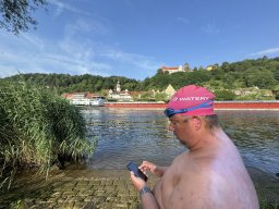 Mainschwimmen Juni 2026